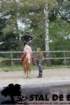 staldeeikimg_6744_small.jpg