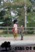 staldeeikimg_6746_small.jpg
