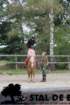 staldeeikimg_6747_small.jpg