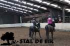 staldeeikimg_6757_small.jpg