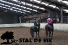 staldeeikimg_6758_small.jpg