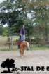 staldeeikimg_6759_small.jpg