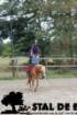 staldeeikimg_6760_small.jpg