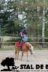 staldeeikimg_6761_small.jpg