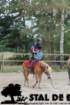 staldeeikimg_6762_small.jpg