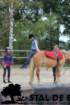 staldeeikimg_6764_small.jpg
