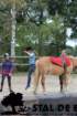 staldeeikimg_6765_small.jpg