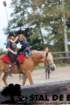 staldeeikimg_6766_small.jpg