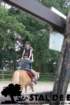 staldeeikimg_6769_small.jpg