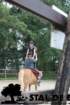 staldeeikimg_6770_small.jpg