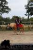 staldeeikimg_6774_small.jpg