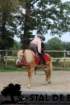 staldeeikimg_6778_small.jpg
