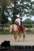 staldeeikimg_6779_small.jpg
