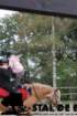 staldeeikimg_6780_small.jpg