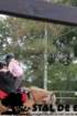 staldeeikimg_6781_small.jpg