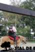 staldeeikimg_6783_small.jpg
