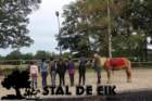 staldeeikimg_6788_small.jpg