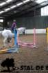 staldeeikimg_6789_small.jpg