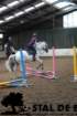 staldeeikimg_6790_small.jpg