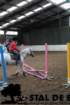 staldeeikimg_6793_small.jpg