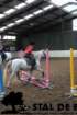 staldeeikimg_6794_small.jpg