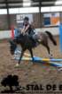 staldeeikimg_6796_small.jpg
