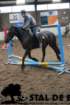 staldeeikimg_6798_small.jpg