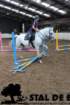 staldeeikimg_6801_small.jpg