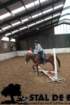 staldeeikimg_68092_small.jpg