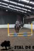 staldeeikimg_68102_small.jpg