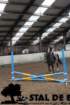 staldeeikimg_68172_small.jpg
