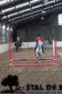 staldeeikimg_68252_small.jpg