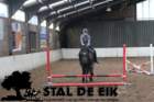 staldeeikimg_68332_small.jpg