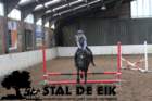 staldeeikimg_68342_small.jpg