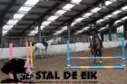 staldeeikimg_68392_small.jpg