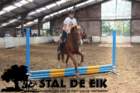 staldeeikimg_68472_small.jpg