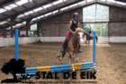 staldeeikimg_68502_small.jpg