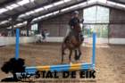staldeeikimg_68512_small.jpg