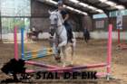 staldeeikimg_68592_small.jpg