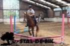 staldeeikimg_68622_small.jpg