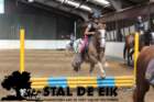 staldeeikimg_68662_small.jpg