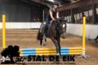 staldeeikimg_68702_small.jpg