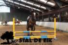staldeeikimg_68762_small.jpg