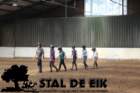 staldeeikimg_68862_small.jpg