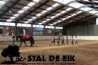 staldeeikimg_68872_small.jpg