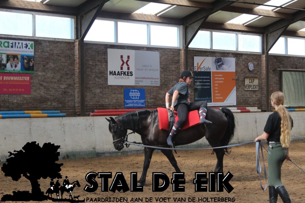 staldeeikimg_68882.jpg