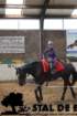 staldeeikimg_68922_small.jpg