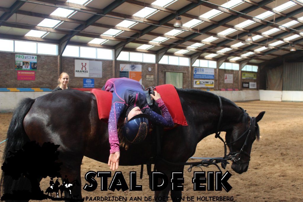 staldeeikimg_68942.jpg