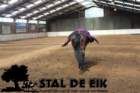staldeeikimg_68952_small.jpg