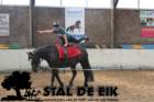 staldeeikimg_68992_small.jpg